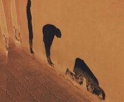 9354C0F8-0329-4B77-8BE9-D7AEA721AE10.jpeg