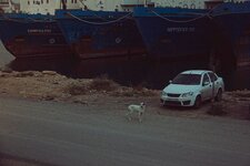 B094A0E8-464A-4F15-B85E-E9DC5344D119.jpeg