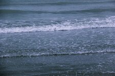 1433D5B2-1E54-495D-AA2C-5004162F9D8A.jpeg